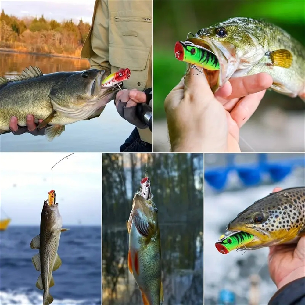 5 unidades de iscas de pesca p - 3D Printing Lure avaliação e preço
